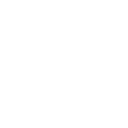 每日大赛